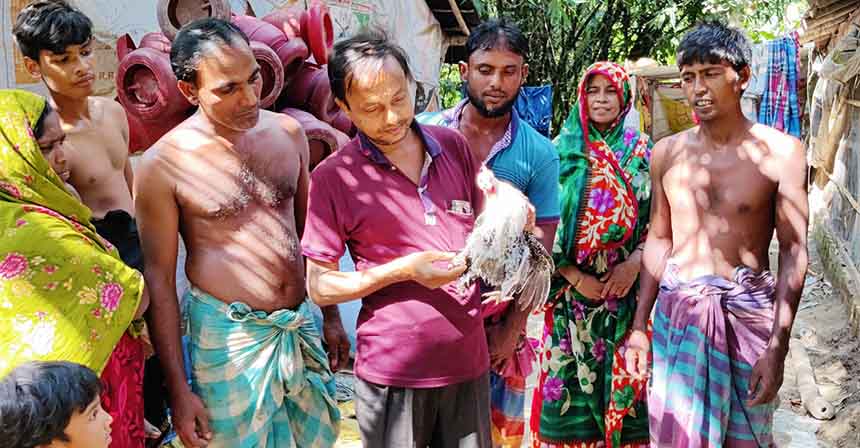 চার পায়ের মোরগ দেখতে মানুষের ভিড়