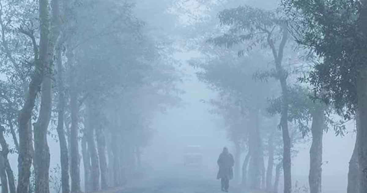 আগামী পাঁচ দিনে শীত ও কুয়াশা বৃদ্ধি পেতে পারে: আবহাওয়া অধিদপ্তরের পূর্বাভাস