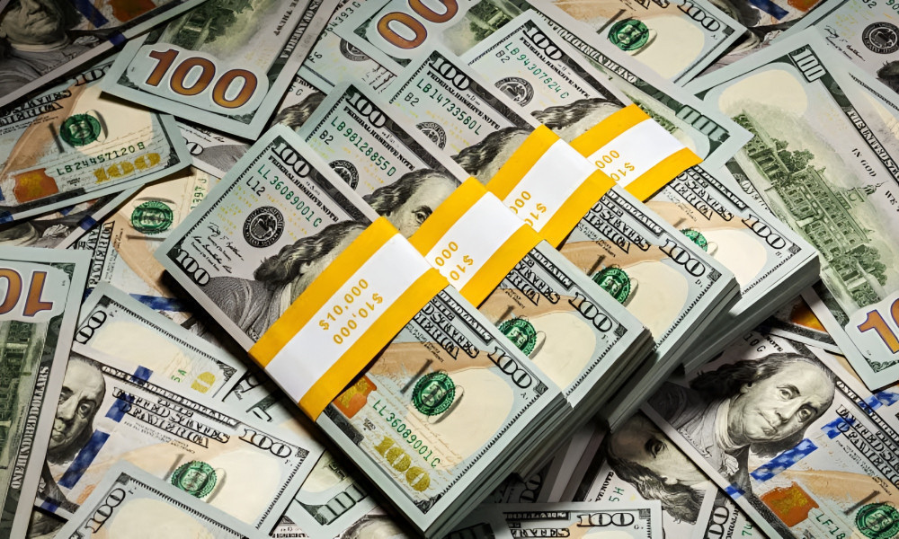 কেন্দ্রীয় ব্যাংক আরও ২০ কোটি ডলার কিনেছে, বিনিময় হার স্থিতিশীল রাখা লক্ষ্য