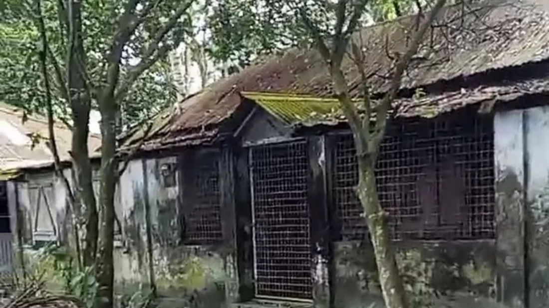 চাঁদপুরে কলেজ অধ্যক্ষের খালি বাড়ি থেকে নারীর গলিত লাশ উদ্ধার