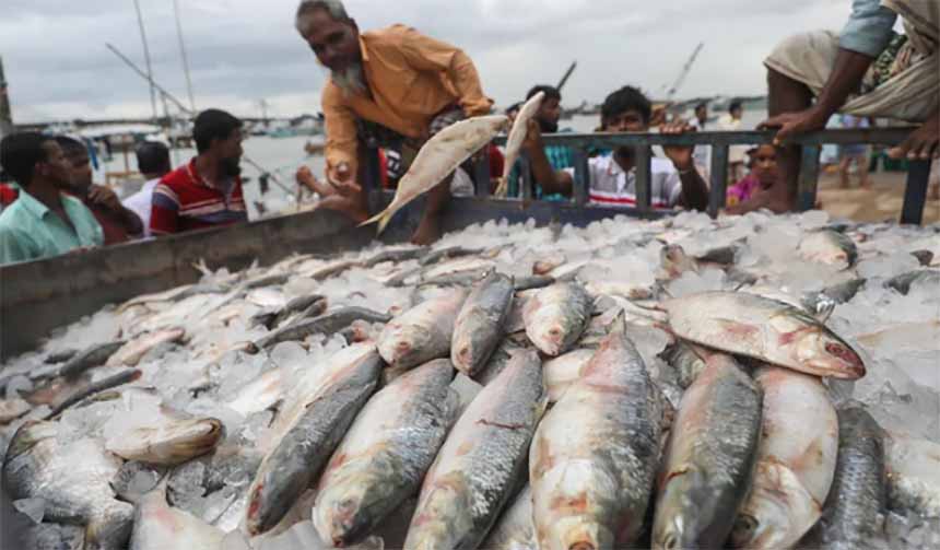 ভারতে ইলিশ রপ্তানির মেয়াদ বাড়লো