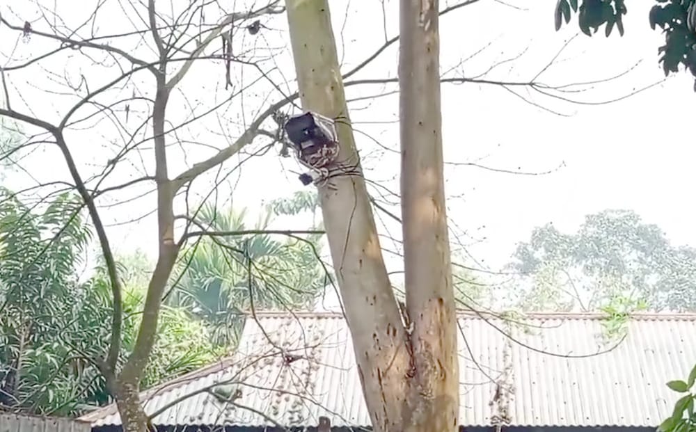 কুড়িগ্রামে সীমান্তে শূন্যরেখায় বিএসএফ’র সিসি ক্যামেরা স্থাপন: বিজিবির প্রতিবাদ