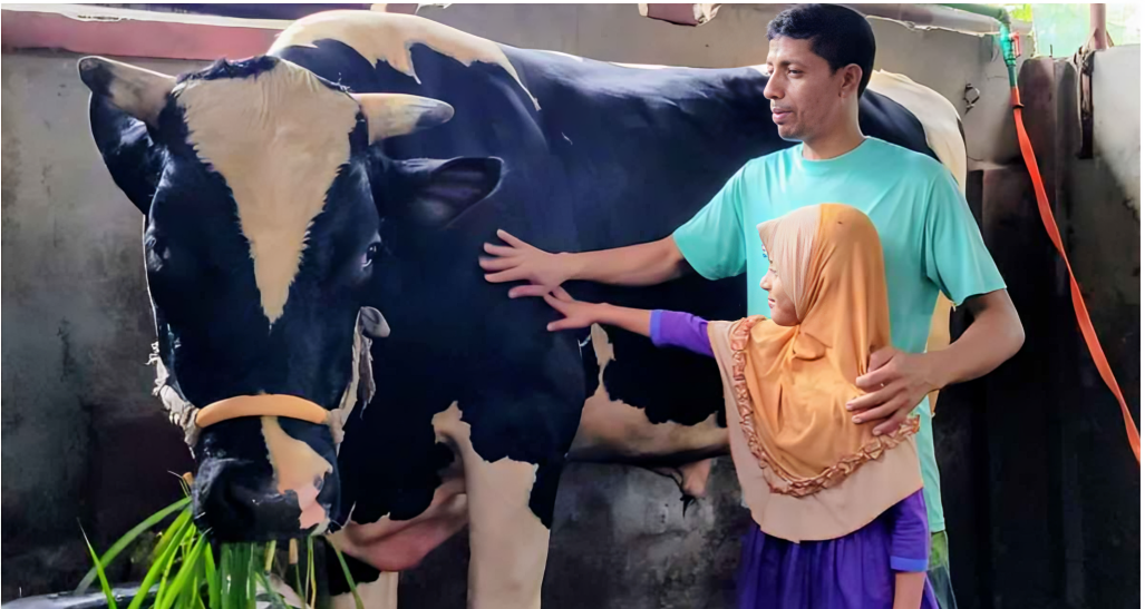 দরজা ভেঙে বের করতে হবে ৩০ মণের বুলেট, কোরবানির হাটে তোলপাড়!
