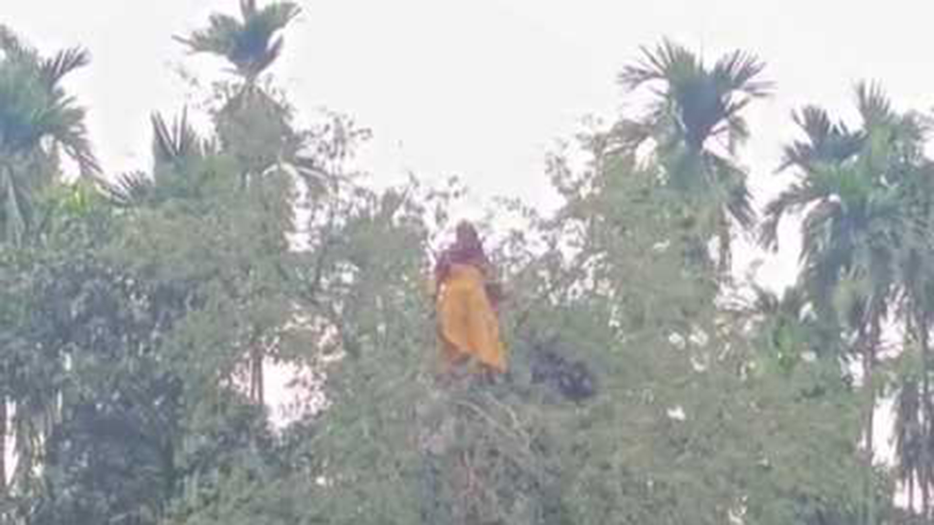 নিখোঁজ নারী মিলল তেঁতুল গাছের মগডালে!