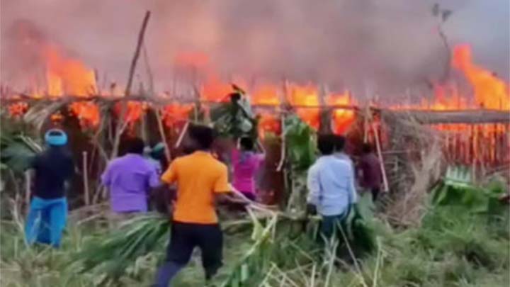 কুষ্টিয়ায় এক হাজার একর পানের বরজ পুড়ে ছাই