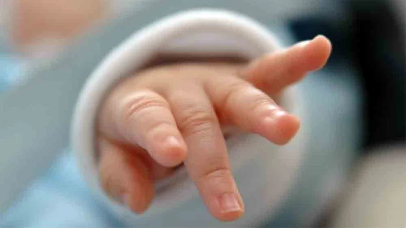 শিশুকে মুখ চেপে হত্যা, অভিযুক্ত সৎ বাবা আটক