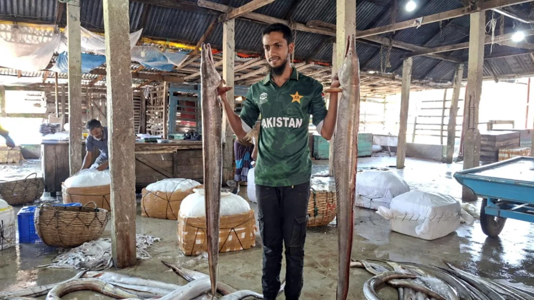 একটি বাইন মাছ বিক্রি হলো আড়াই লাখ টাকায়, কিন্তু কেন?