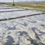 কক্সবাজারে বজ্রপাতে লবণ চাষির মৃত্যু, উপকূলে সতর্কতা