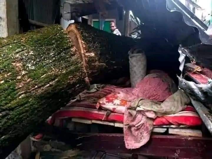 ঘূর্ণিঝড় সিত্রাংয়ে কুমিল্লায় এক পরিবারের নিহত ৩ জনের দাফন সম্পন্ন