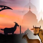 ঈদ ২৭ নাকি ২৮ মে? সম্ভাব্য তারিখ নিয়ে যা জানা গেল