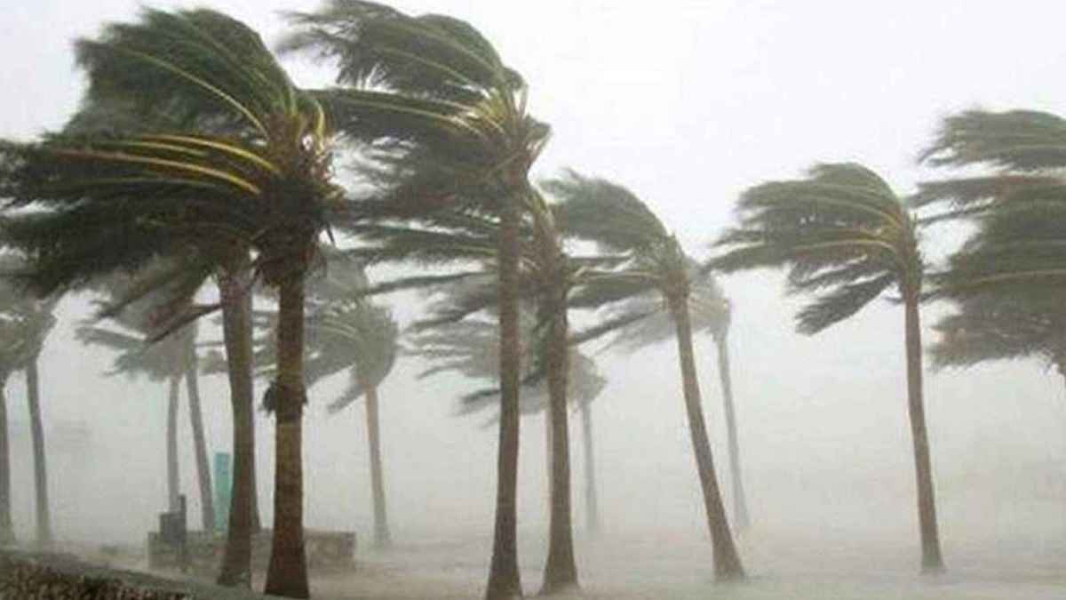 সন্ধ্যার মধ্যে ৭ জেলায় ঝড় ও বজ্রবৃষ্টির আশঙ্কা!