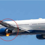 দিল্লিতে উড্ডয়নের সময় সুইস বিমানের ইঞ্জিনে আগুন, জরুরি অবতরণে রক্ষা পেল ২০০+ যাত্রী