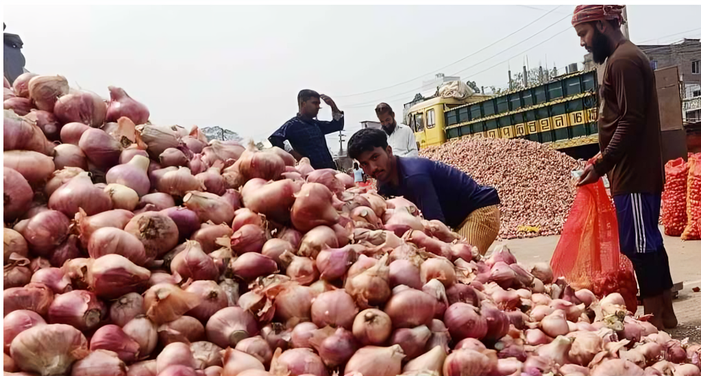 বাম্পার ফলনে পেঁয়াজে স্বয়ংসম্পূর্ণতার পথে বাংলাদেশ, কমছে আমদানির চাপ