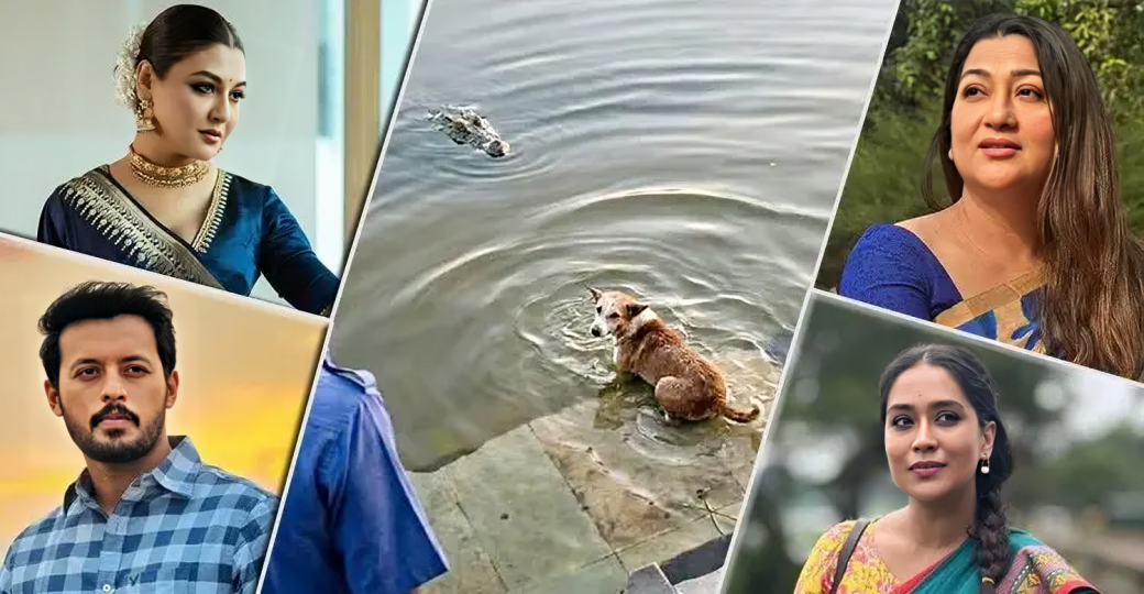 কুমিরের মুখে কুকুর, বাগেরহাটের ঘটনায় ক্ষোভে ফুঁসছে তারকারা