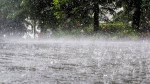লঘুচাপের প্রভাবে তিন বিভাগে ভারী বৃষ্টির আভাস, বাড়তে পারে ঝড়ো হাওয়া