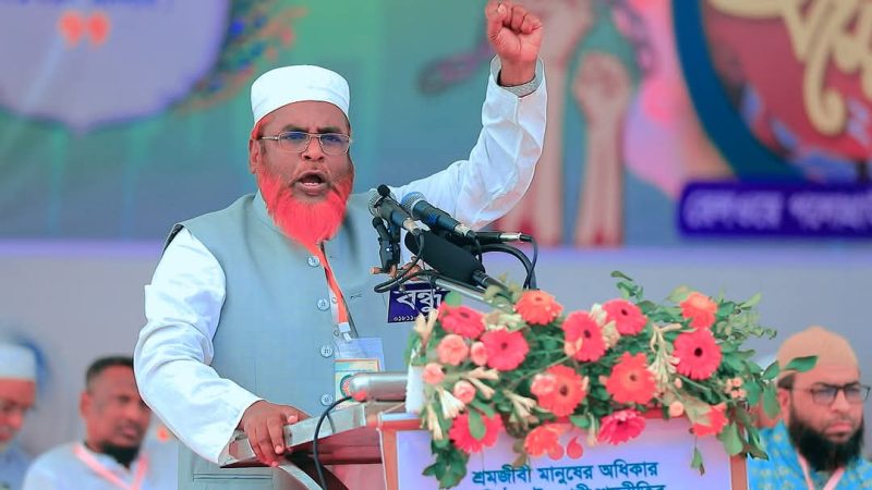 সাহস থাকলে গণভোট দেন, গায়ের জোরে দেশ শাসনের দিন শেষ: অধ্যাপক মিয়া গোলাম