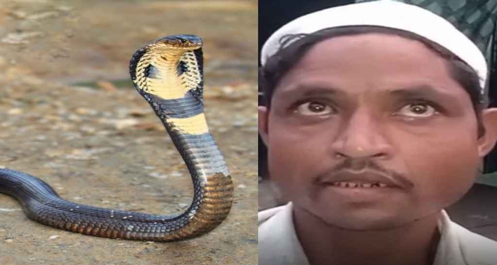 রাতে সাপ হয়ে কামড়ানোর চেষ্টা করে স্ত্রী -স্বামীর অদ্ভুত দাবি