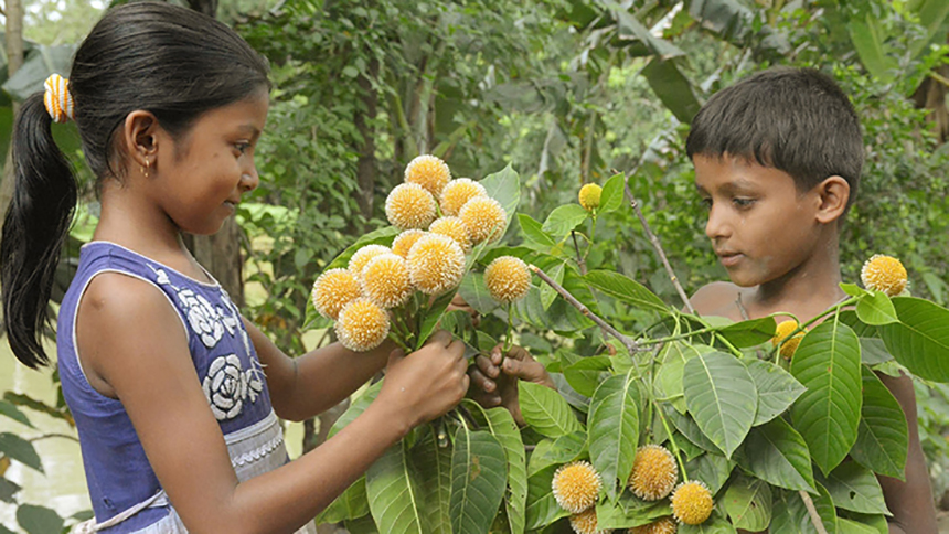 আষাঢ়ের প্রথম দিন আজ