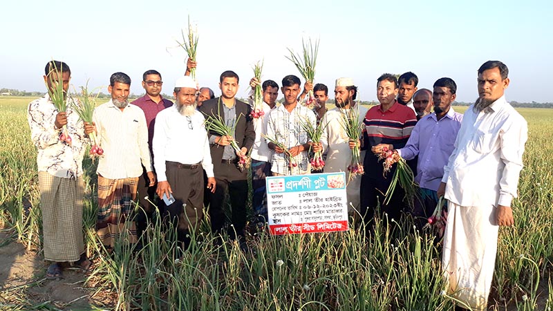 সালথায় পেঁয়াজ চা‌ষি‌দের নি‌য়ে লাল‌ তীরের মাঠ দিবস অনুষ্ঠিত