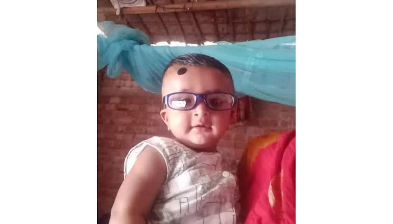 ভেড়ামারায় সাপের কামড়ে শিশুর মৃত্যু, মা হাসপাতালে