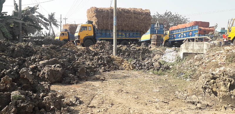 বিরামপুরে সড়ক ও জনপথ বিভাগের জায়গা দখল করে মাটি ভরাট