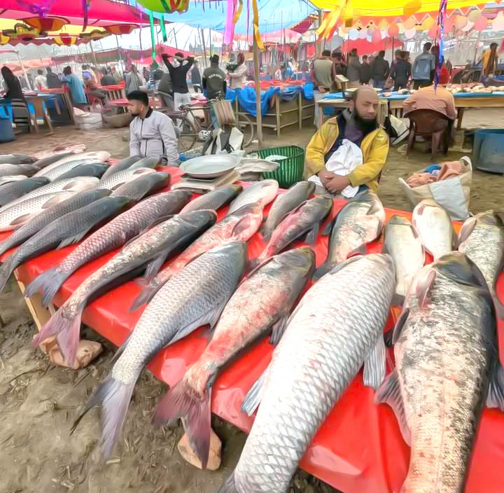 বগুড়ায় চারশত বছরের ঐতিহ্যবাহী পোড়াদহ মাছের মেলা অনুষ্ঠিত