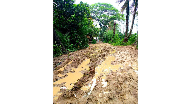 চলাচলের রাস্তার চরম দুর্ভোগে গুলিয়ারপাড়ার গ্রামবাসী