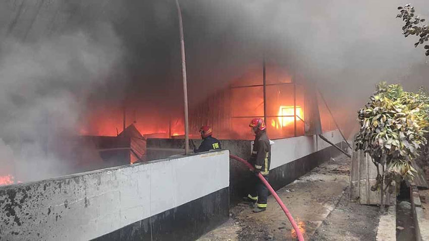 শ্রীপুরে আগুনে পুড়ে যাওয়া বোতাম তৈরির কারখানার ধ্বংসস্তূপ থেকে ৩ লাশ উদ্ধার