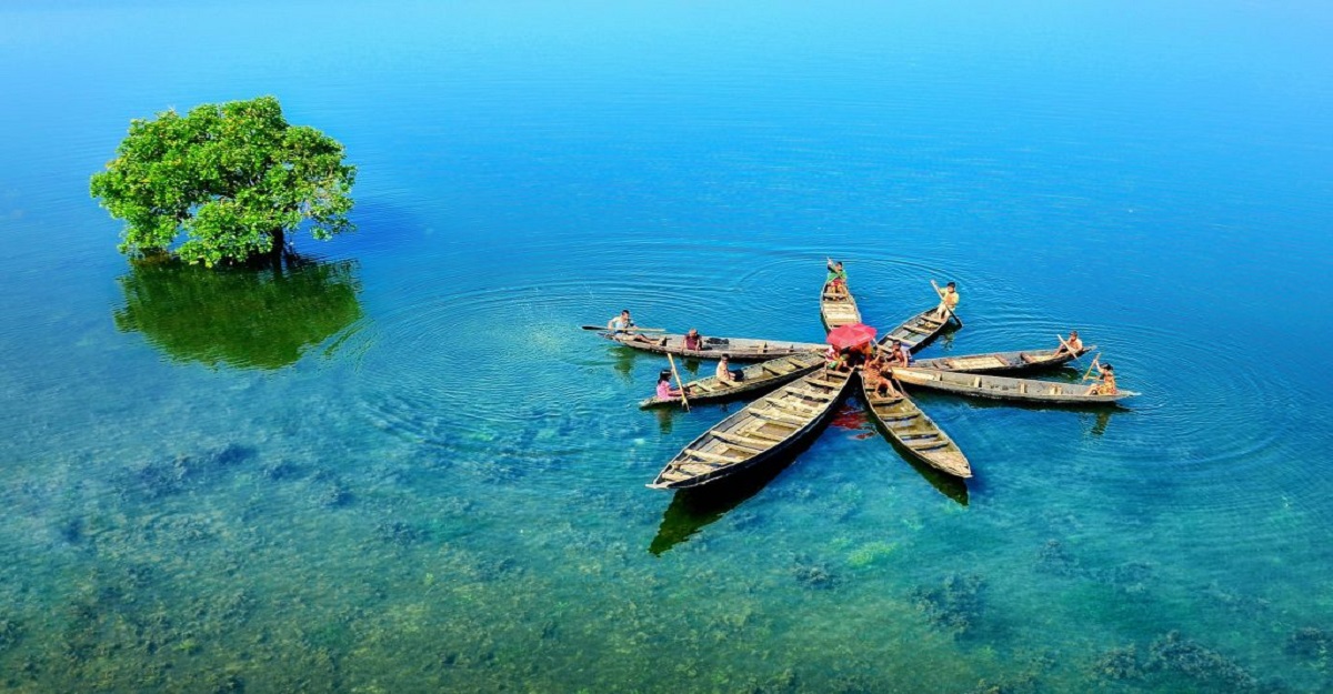 টাঙ্গুয়ার হাওর ‘সোনার ডিমপাড়া হাঁস’ নয়