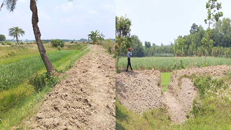 দৌলতপুরে আদালতের ১৪৪ ধারা ভঙ্গ করে জোরপূর্বক জমি দখলের অভিযোগ!