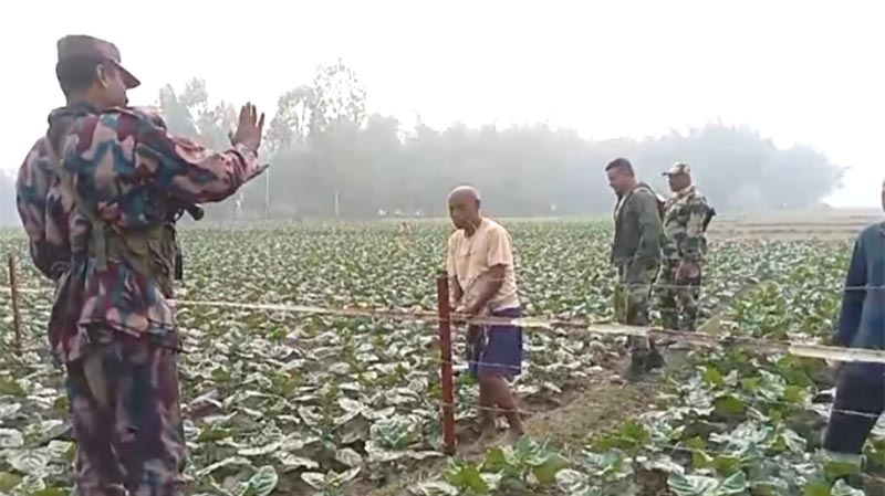দহগ্রাম সীমান্তে কাঁটাতারের বেড়ার পরে এবার বাঁশ বাঁধল ভারতীয়রা