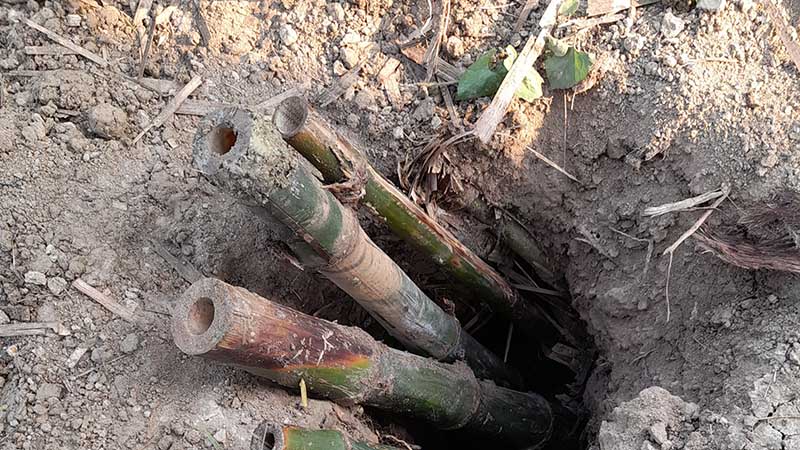 গাজীপুরের কামারজুরীতে কবর থেকে কঙ্কাল চুরির হিড়িক