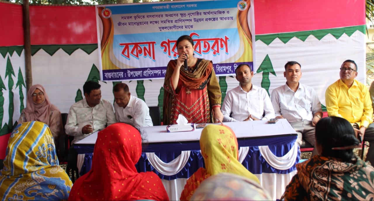 বিরামপুরে ৭০টি ক্ষুদ্র নৃগোষ্ঠী পরিবারে বকনা গরু বিতরণ