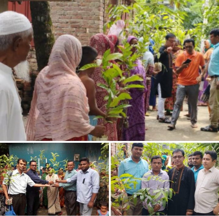 জাতীয় শোক দিবসে গ্রামীণ ব্যাংকের উদ্যোগে গাছের চারা বিতরণ