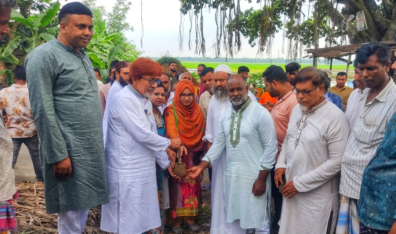 বজ্রপাত থেকে বাঁচতে বড়াইগ্রামে ৪'শ তালগাছের চারা রোপন