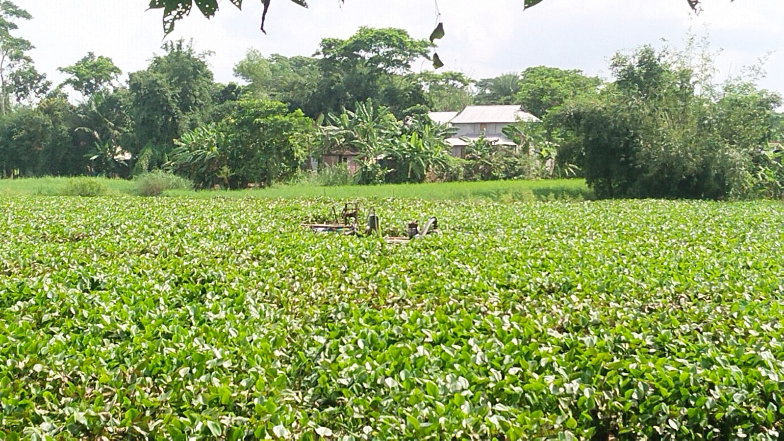 রাস্তা খুঁড়ে ড্রেজার পাইপ বসিয়ে বছর ধরে ব্যবসা