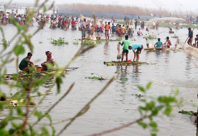 ঠাকুরগাঁও বুড়ির বাঁধে মাছ ধরা উৎসব