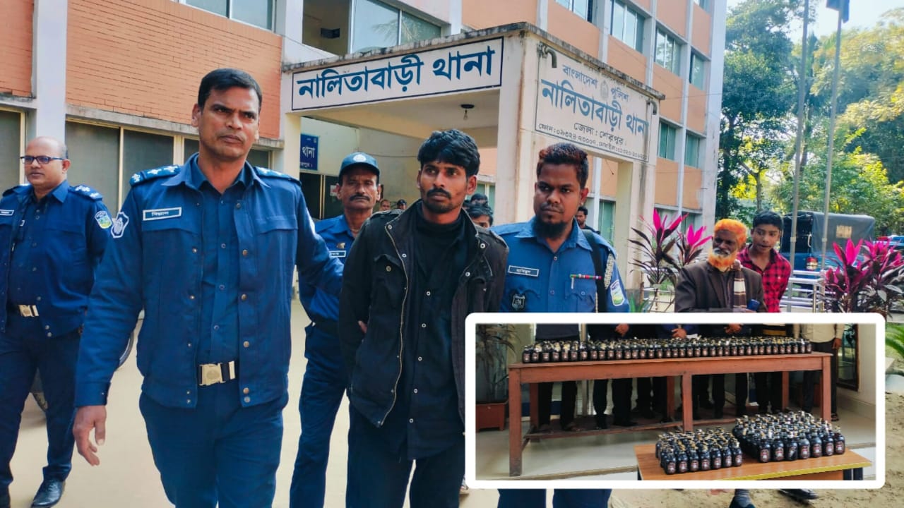 নালিতাবাড়ী সীমান্তে ৬৫০ বোতল ভারতীয় মদসহ গ্রেফতার ১