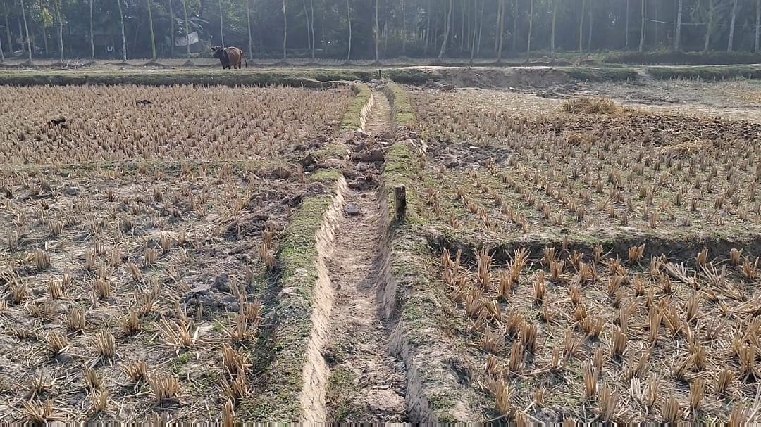নালিতাবাড়ীতে সেচনালা মেরামতে বাধা, আদালতের নির্দেশ উপেক্ষিত