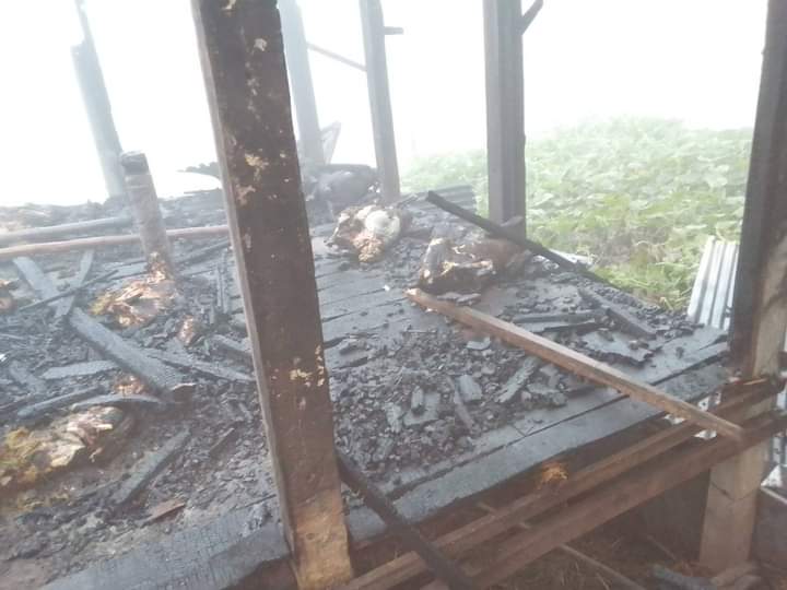 কালিয়াকৈরে আগুনে পুড়ে ছাগলের খামার ভস্মীভূত, ২৬টি ছাগল পুড়ে ছাই