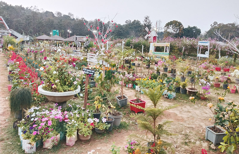 ইটভাটা থেকে ফুলের বাগানে রূপান্তর, মন কেড়েছে মানুষের