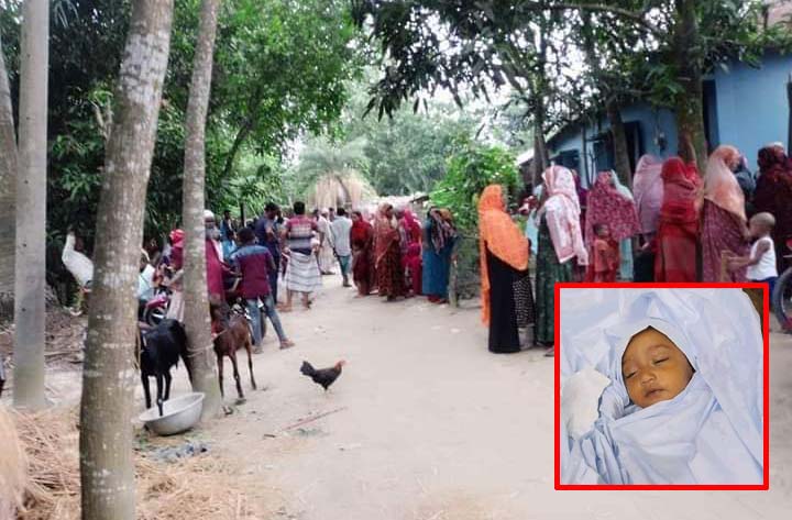 হাসপাতালে মেলেনি অ্যান্টিভেনাম: কুষ্টিয়ায় সাপের কামড়ে মা-মেয়ের মৃত্যু