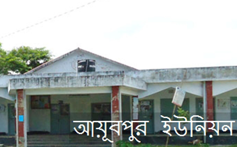 নরসিংদীর শিবপুরে ইউনিয়ন চেয়ারম্যানকে অনাস্থা দিলেন ইউপি সদস্যরা