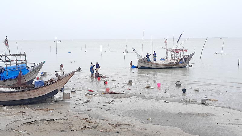 শান্ত মেঘনা নদী মাছ শিকারে জেলেরা, ভাঙন আতঙ্কে তীরবর্তী মানুষ