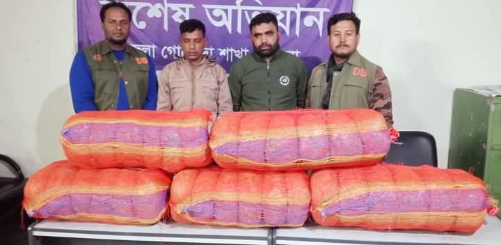 কুমিল্লায় পুলিশের অভিযানে ৬০ কেজি গাঁজাসহ গ্রেফতার ২