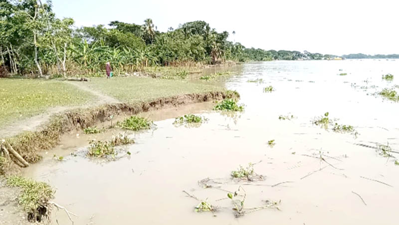 বরিশালের মিরগঞ্জে ভয়াবহ নদী ভাঙনে অসহায় কয়েক হাজার পরিবার