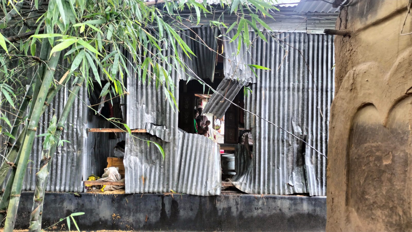 নালিতাবাড়ী সীমান্ত এলাকায় বন্যহাতী ভেঙে দিল ঘর, খেয়ে সাবার ধান-চাল