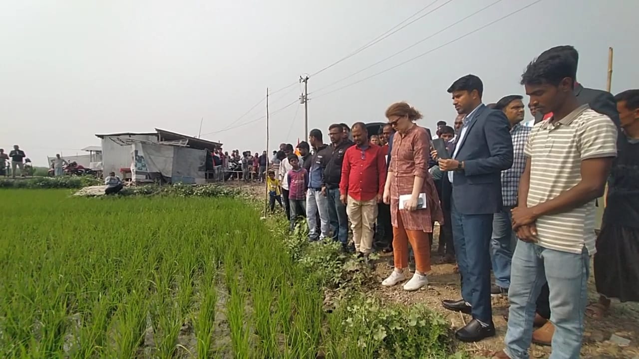 মার্কিন প্রতিনিধি দলের হালতিবিল পরিদর্শন