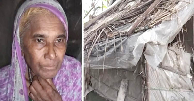 জরাজীর্ণ ঝুপড়ি ঘরে নিলু বেগমের মানবেতর জীবনযাপন