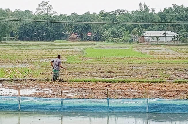 পাটগ্রামে ক্রয়ের ৩৪ বছর পড়ে জমি দখলে পেলেন ক্রেতা